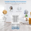 Basement Dehumidifier With Drain Hose