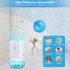 Dehumidifiers For Bedroom