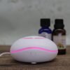 photobank - 2023-07-21T171712.422 Waterless Mini USB Fan Aroma Diffuser | Lightweight and Portable