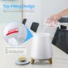 Remote Control Bluetooth Speaker Aroma Diffuser