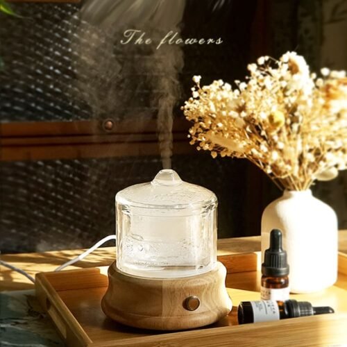 Non Plastic Oil Diffuser